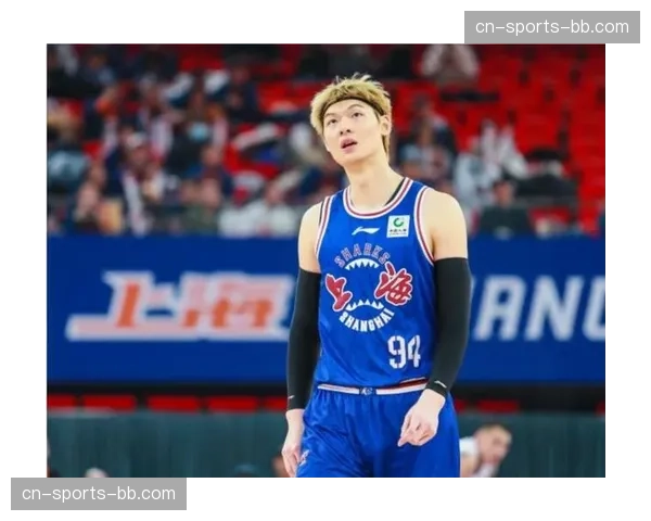 王哲林已从伤病中恢复 上海内线核心健康状况良好